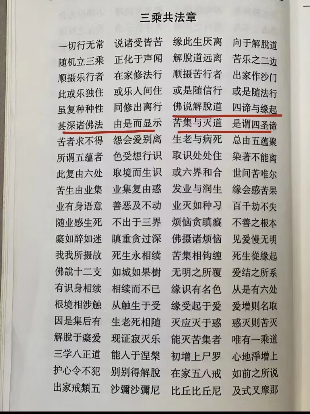 请输入图片描述