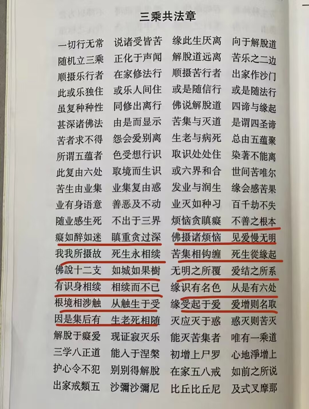 请输入图片描述