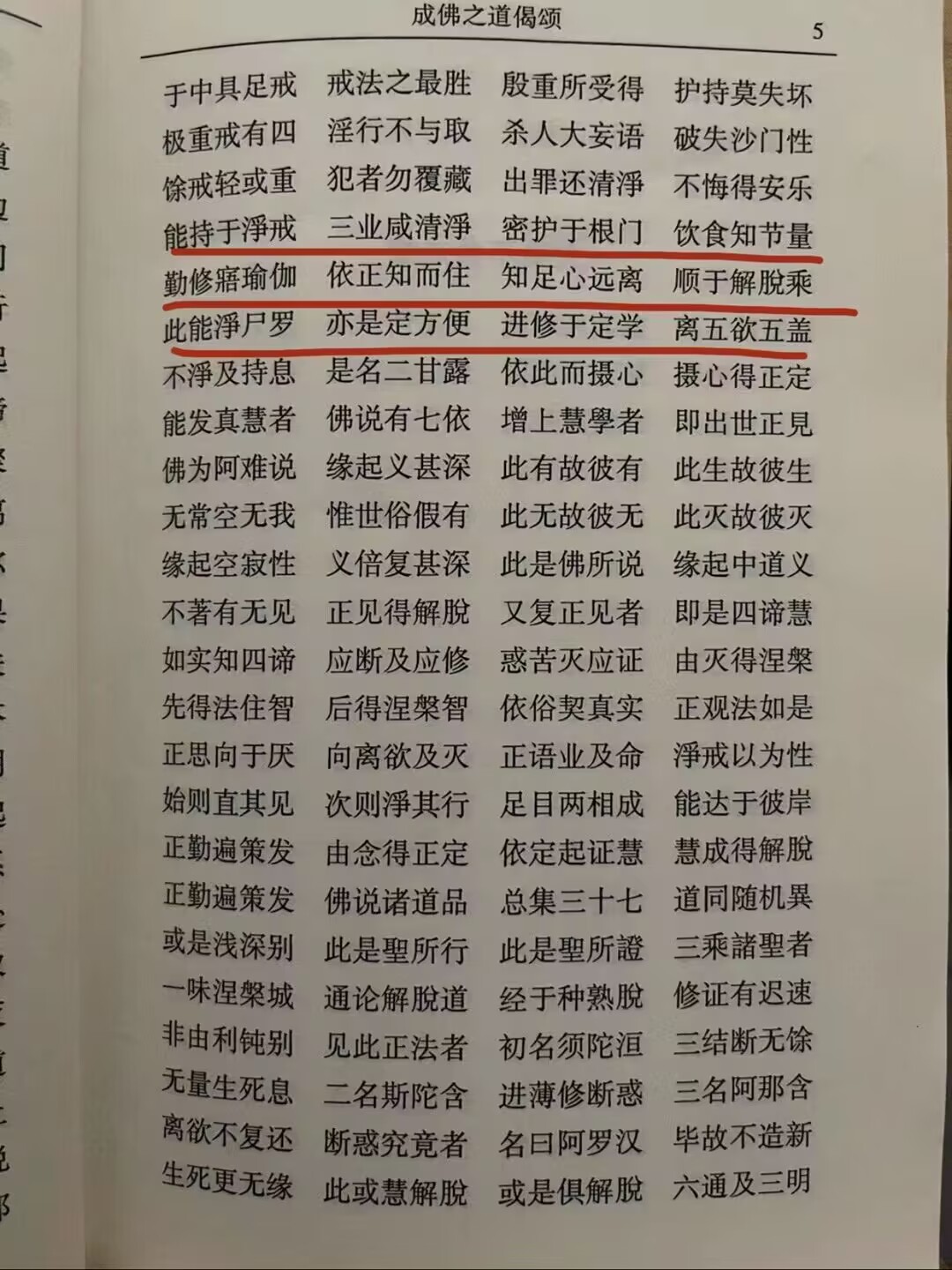 请输入图片描述