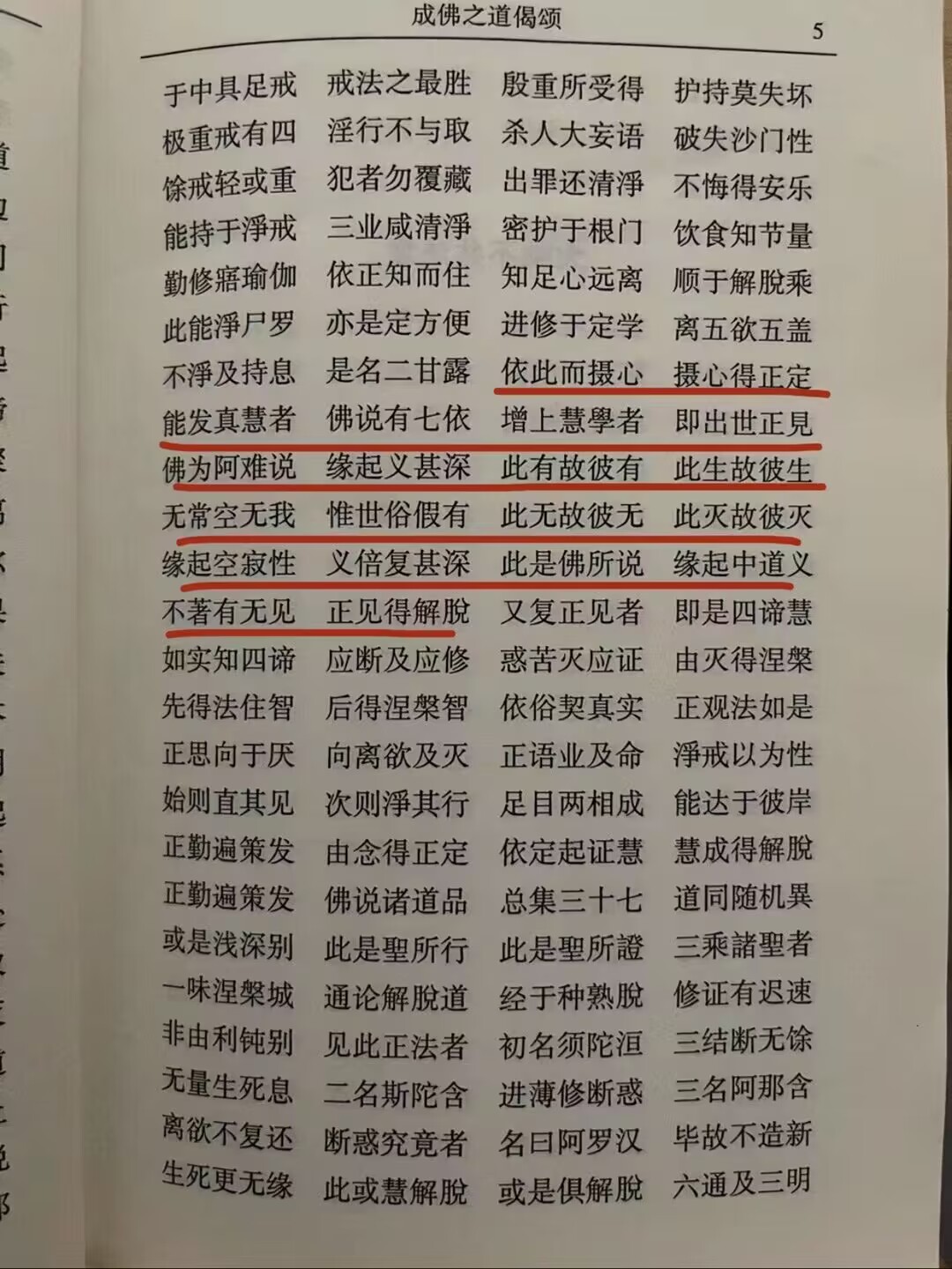 请输入图片描述